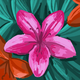 Petunia Honey